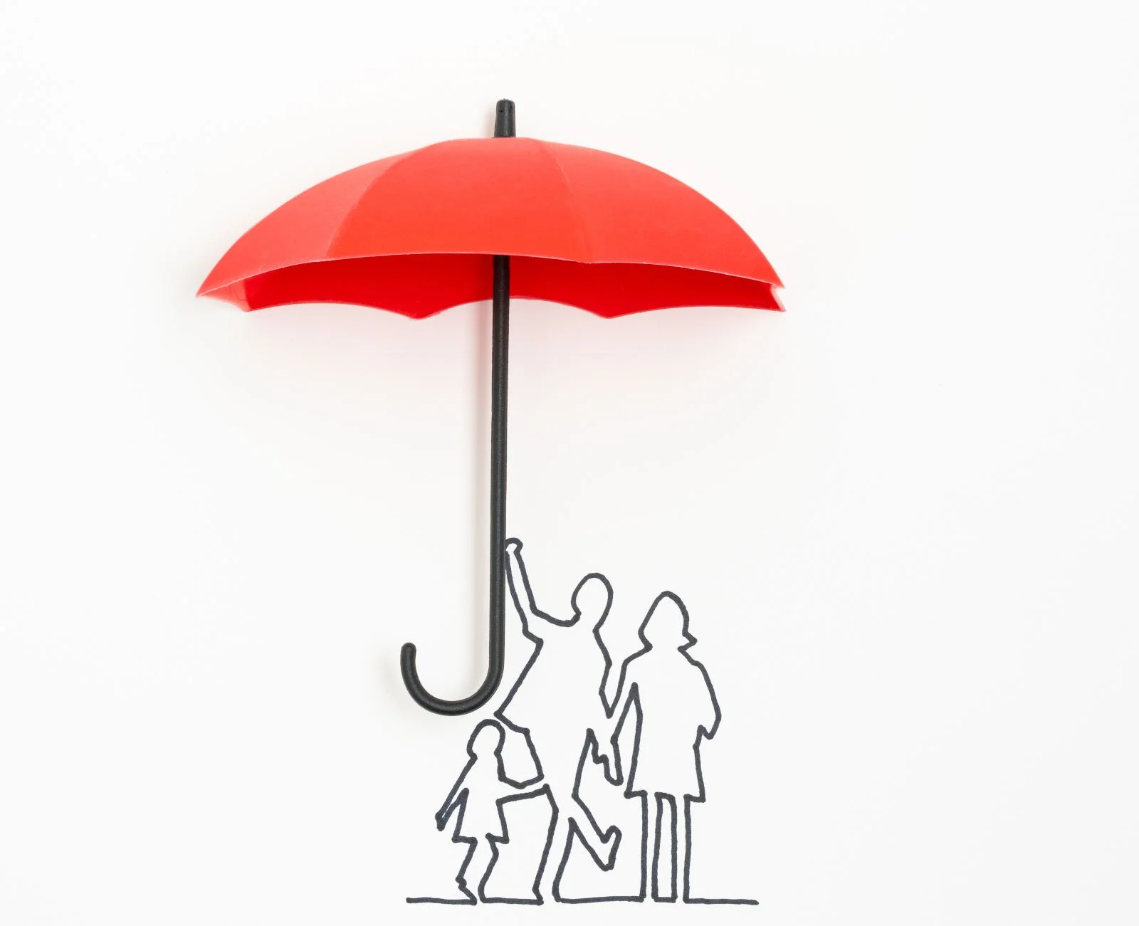 Top Participating Whole Life Insurance Options in Canada